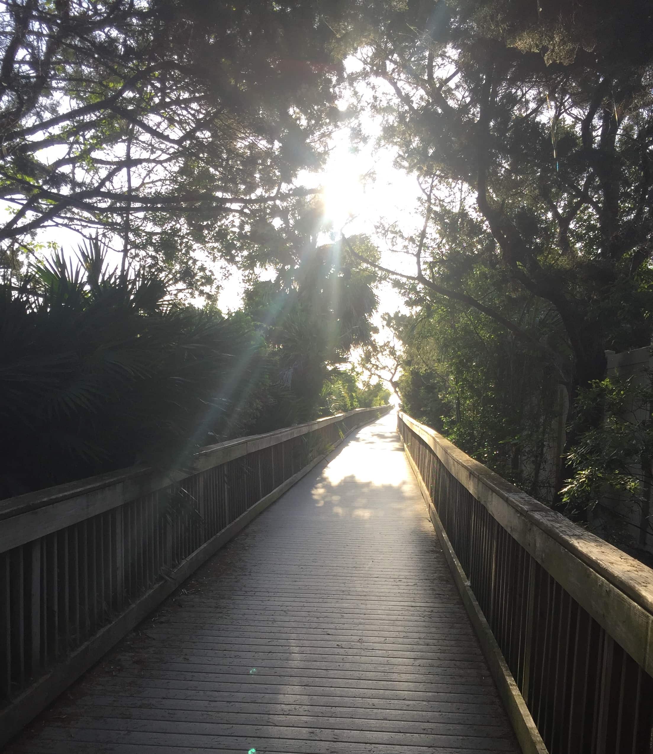 Boardwalk Sunshine